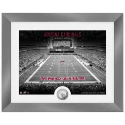 Highland Mint Arizona Cardinals NFL Stadion Silber Coin Bild 40x33cm