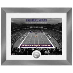 Highland Mint Baltimore Ravens NFL Stadion Silber Coin Bild 40x33cm