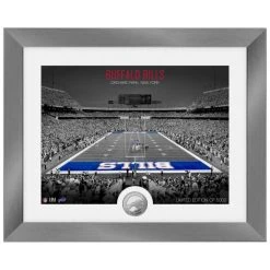 Highland Mint Buffalo Bills NFL Stadion Silber Coin Bild 40x33cm