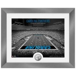 Highland Mint Carolina Panthers NFL Stadion Silber Coin Bild 40x33cm