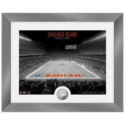 Highland Mint Chicago Bears NFL Stadion Silber Coin Bild 40x33cm
