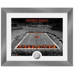 Highland Mint Cincinnati Bengals NFL Stadion Silber Coin Bild 40x33cm