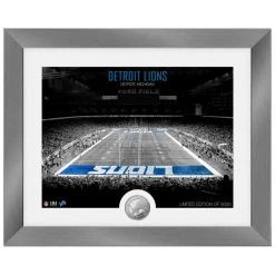 Highland Mint Detroit Lions NFL Stadion Silber Coin Bild 40x33cm