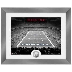 Highland Mint Houston Texans NFL Stadion Silber Coin Bild 40x33cm