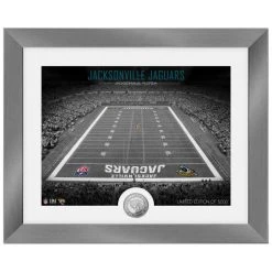 Highland Mint Jacksonville Jaguars NFL Stadion Silber Coin Bild 40x33cm