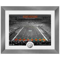 Highland Mint Miami Dolphins NFL Stadion Silber Coin Bild 40x33cm