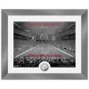 Highland Mint Tampa Bay Buccaneers NFL Stadion Silber Coin Bild 40x33cm