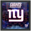 Highland Mint New York Giants NFL Signature Logo Bild 33x33cm