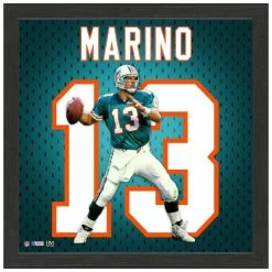 Highland Mint Dan Marino Miami Dolphins Impact Jersey Frame Bild
